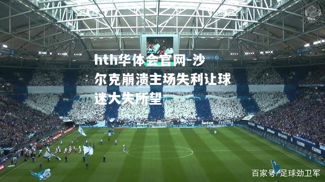 沙尔克崩溃主场失利让球迷大失所望