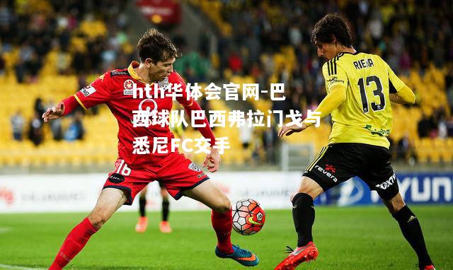 巴西球队巴西弗拉门戈与悉尼FC交手